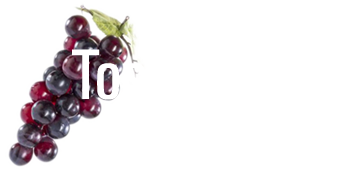 Logo2